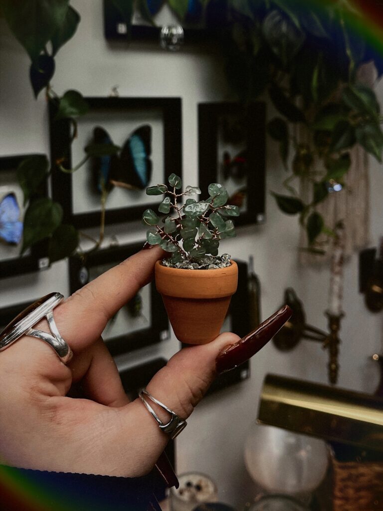Mini Crystal Plant Workshop at Coastal Craft