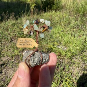 Jan — ✨ Abundance Crystal Tree Kit