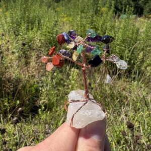 Mar — 🌈 Chakra Crystal Tree Kit