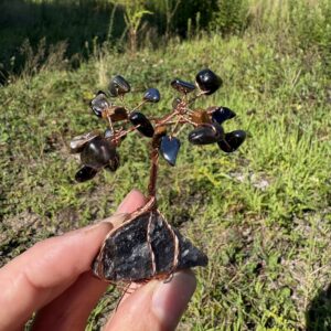 Oct — 🖤 Protection Crystal Tree Kit