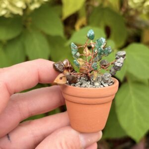 Jan — ✨ Abundance Crystal Plant Kit