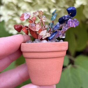 Mar — 🌈 Chakra Crystal Plant Kit