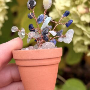 May — 💙 Communication Crystal Plant Kit