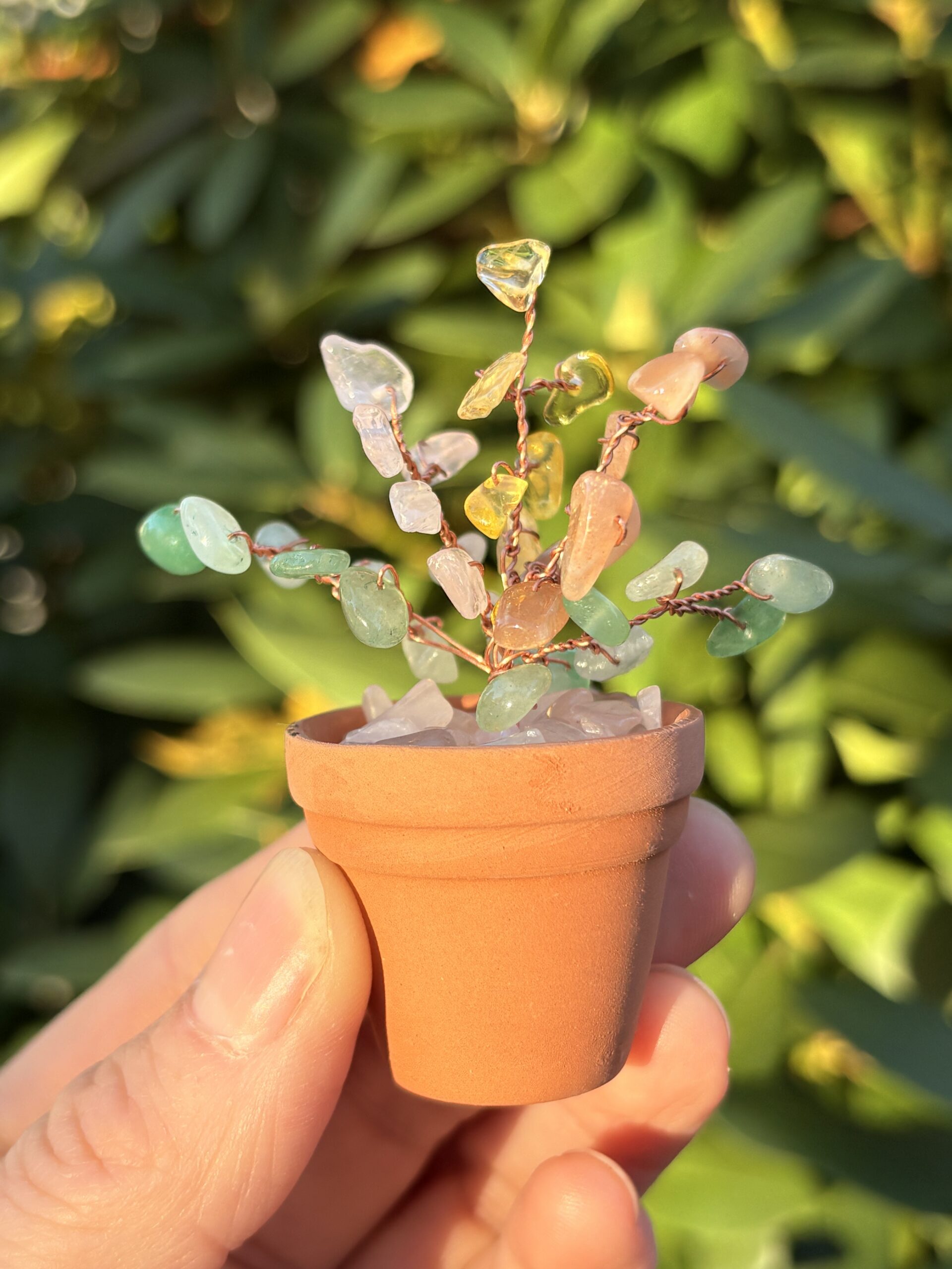 Nov — 🙏 Gratitude Crystal Plant Kit