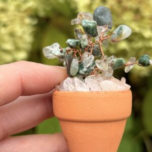 Apr — 🌱 Growth Crystal Plant Kit