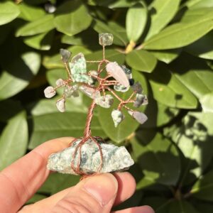Apr — 🌱 Growth Crystal Tree Kit