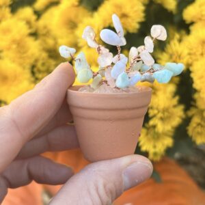 Sep — 🤝 Harmony Crystal Plant Kit