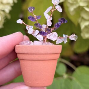 Jun — ✨ Inner Wisdom Crystal Plant Kit