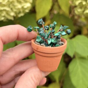 💰 Prosperity Crystal Plant Kit