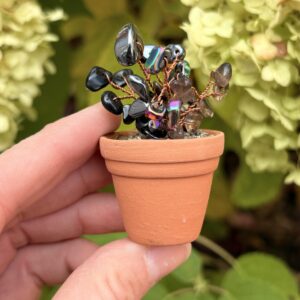 Oct — 🖤 Protection Crystal Plant Kit