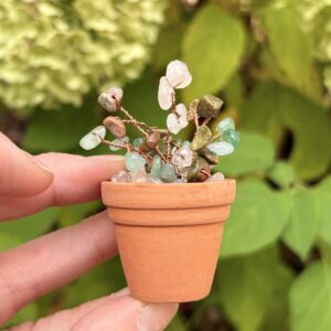 Feb — 💖 Self-Love Crystal Plant Kit