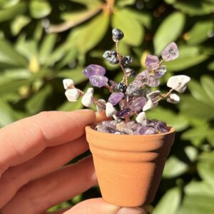 Dec — 🕊️ Stillness Crystal Plant Kit