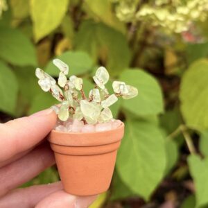 💗 Unconditional Love Crystal Plant Kit